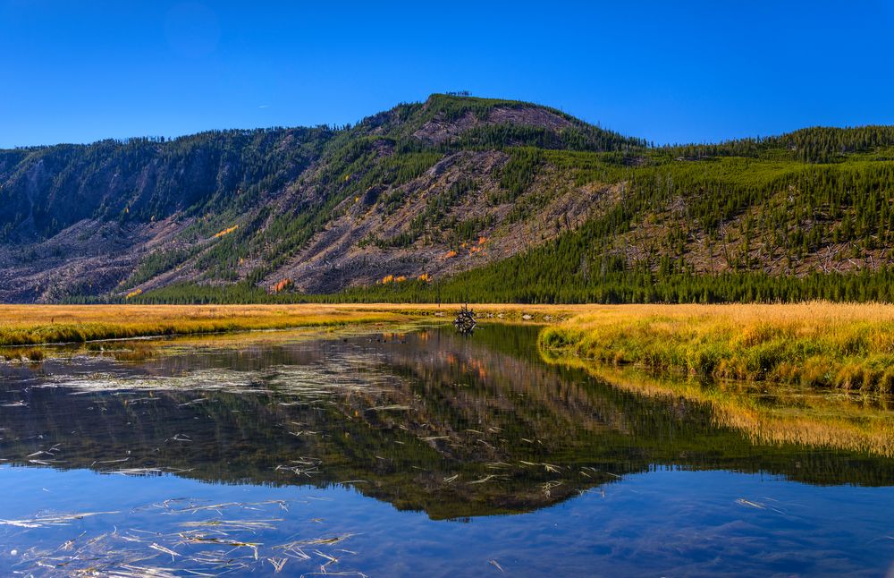 Madison River, Yellowstone NP, Wyoming, USA