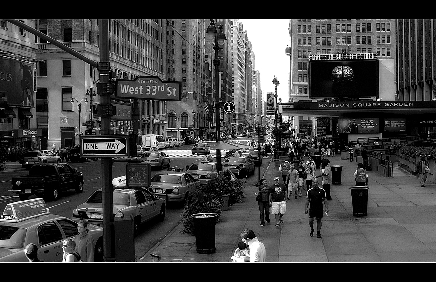 Madison square garden