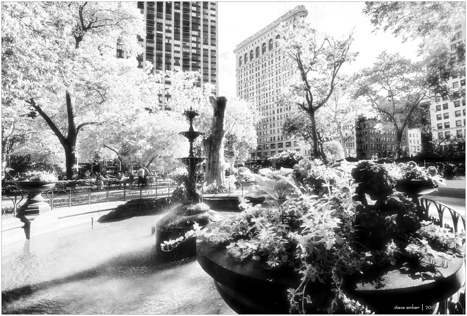 Madison Square Park Summer - No. 1