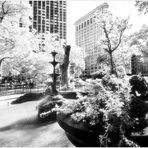 Madison Square Park Summer - No. 1