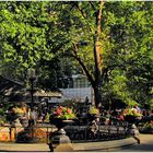 Madison Square Park Summer - No. 3