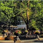 Madison Square Park Summer - No. 3