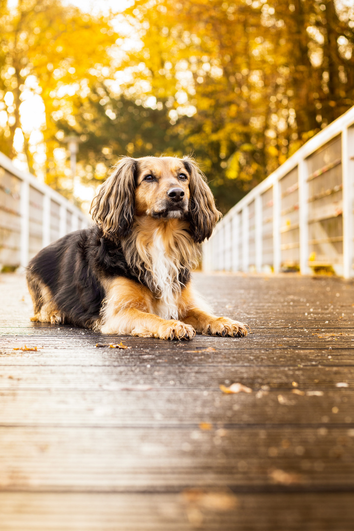 Madita auf der Brücke