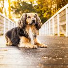 Madita auf der Brücke