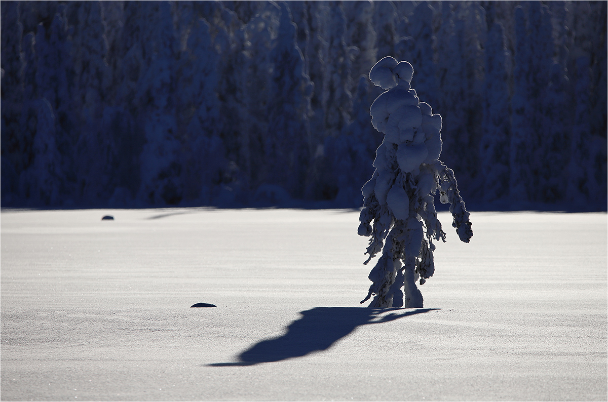 MadMax im Schneeland