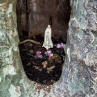 Madonna nel tronco