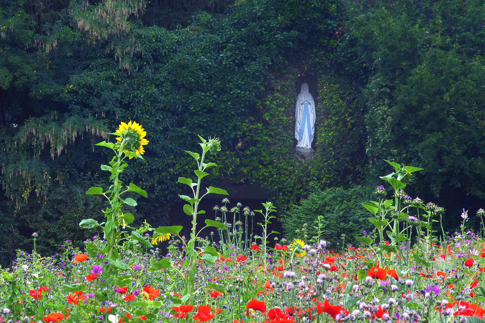 Madonna über der Sommerwiese im Klosterpark Koblenz-Arenberg