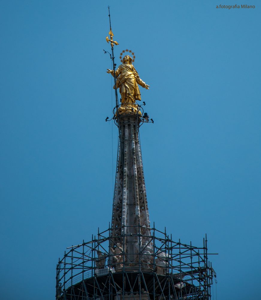 Madonna vom Mailänder Dom.......