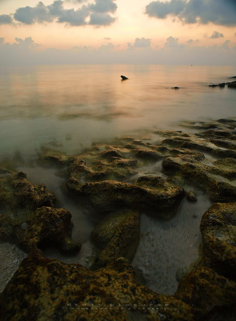 Madoogali Island - North Ari Atoll - Maldives 2012