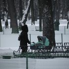 Madre con carrozzina nel parco