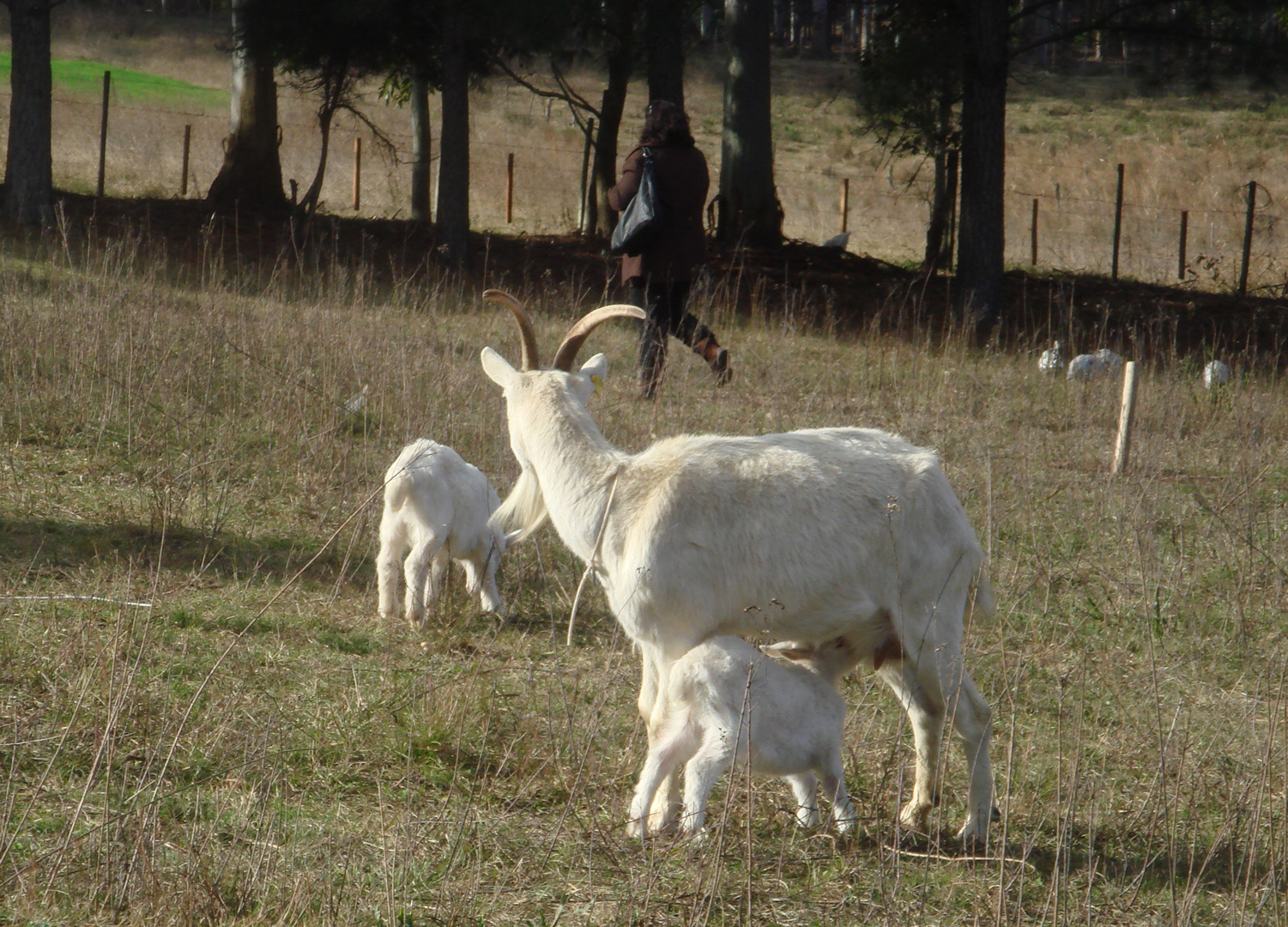 Madre e hija.