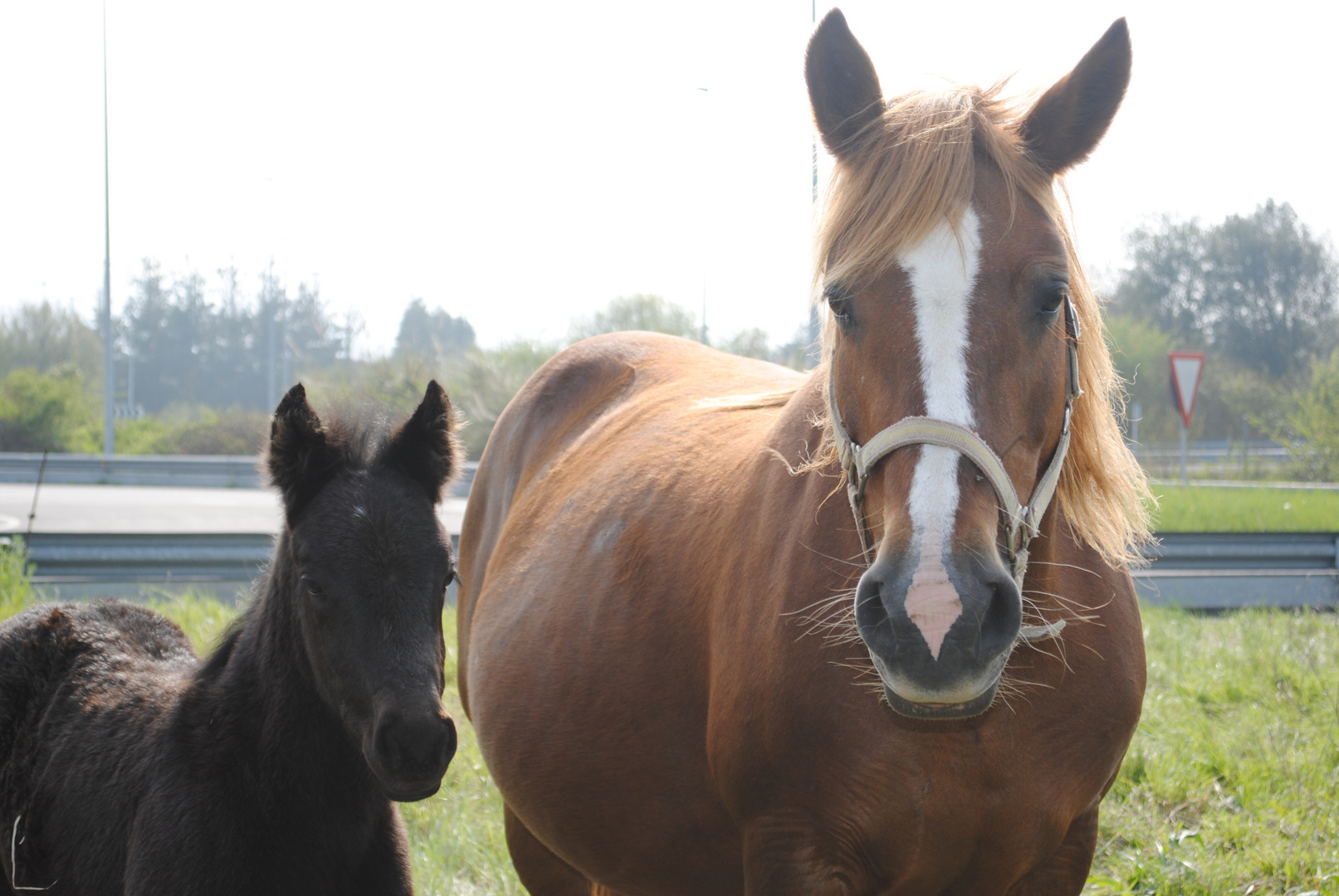 madre e hijo