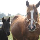 madre e hijo