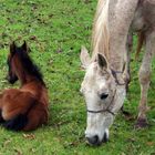 madre e hijo