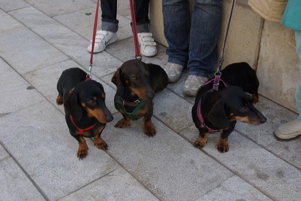 Madre e Hijos