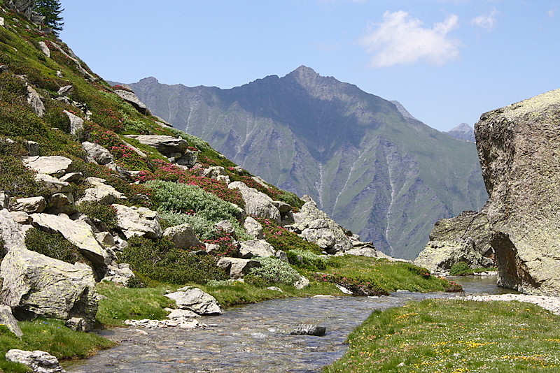 Madre terra e sorella acqua