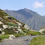 Madre terra e sorella acqua