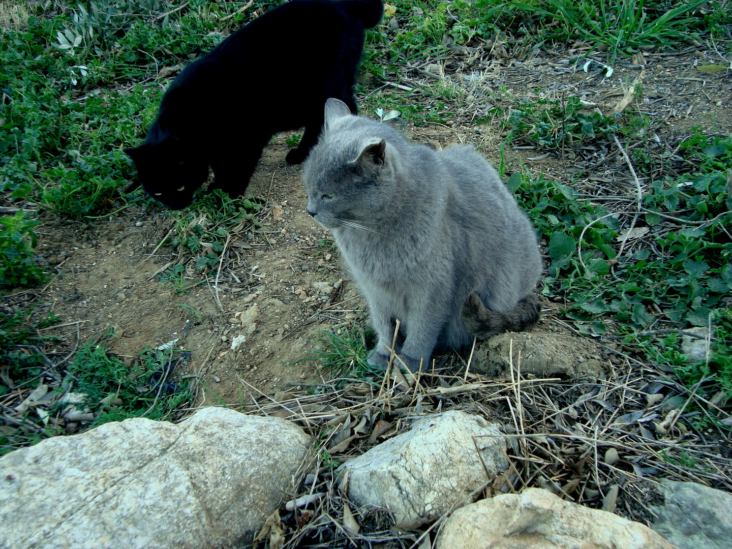 Madre y hijo