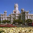 Madrid 2002_0087