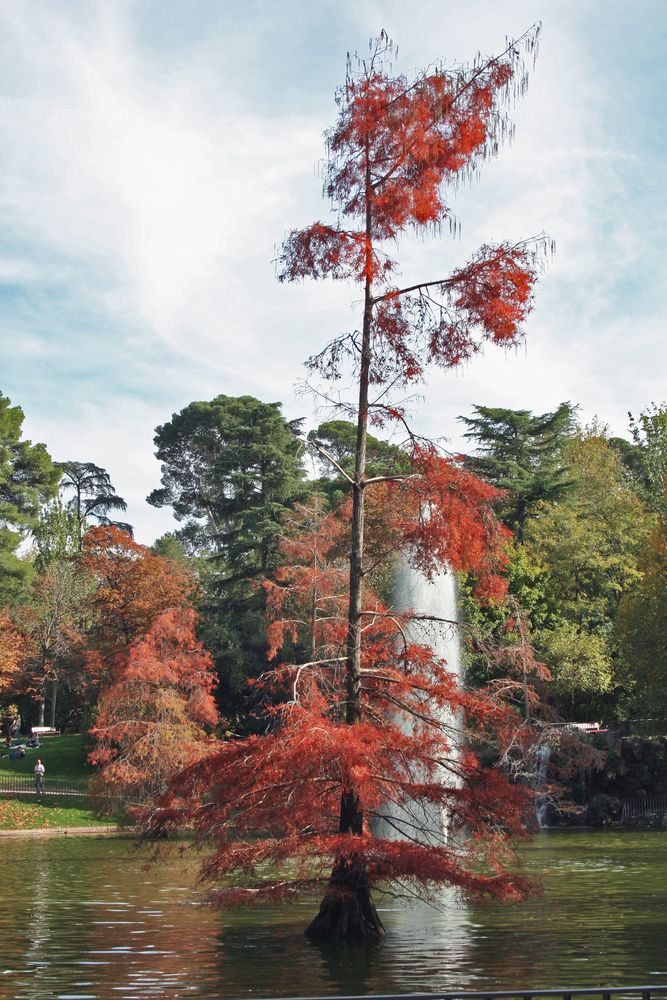 Madrid, El Retiro