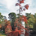 Madrid, El Retiro