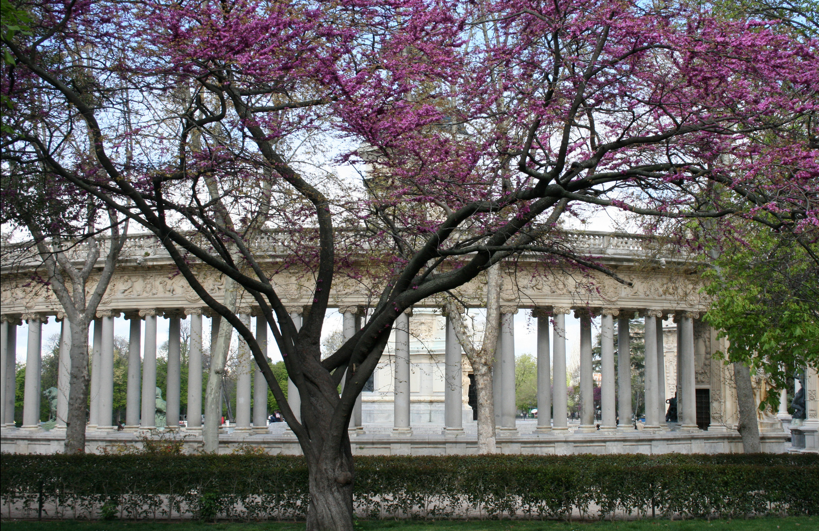 Madrid im Frühling