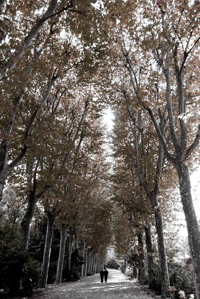 Madriz Otoño8