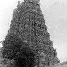 Madurai, Meenakshi Amman temple