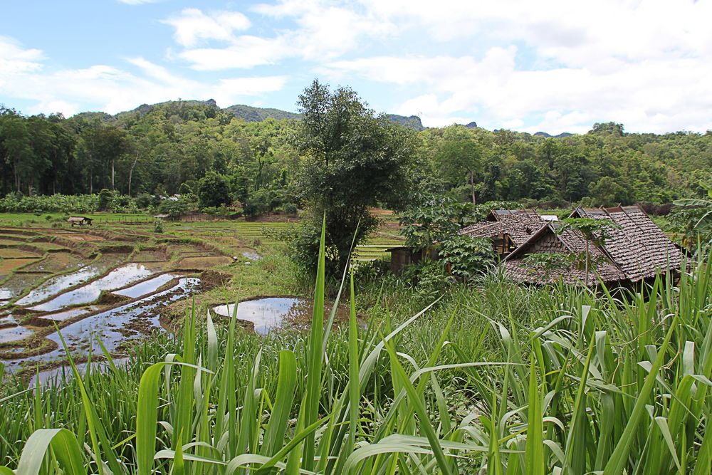 Mae Hong son, Nordthailand