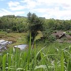 Mae Hong son, Nordthailand