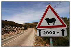 Määäh - Grand Canyon du Verdon