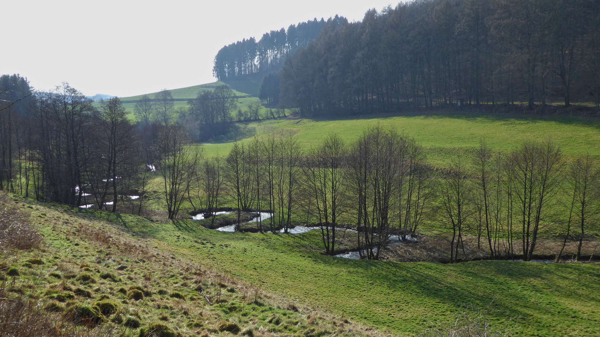 Mäander im Orlebachtal (P1000875_ji)