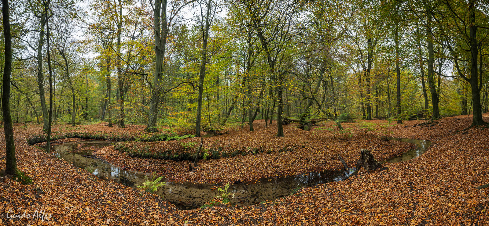 Mäanderschleife