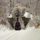 Mächtig viel Dampf am Mehliser Tunnel