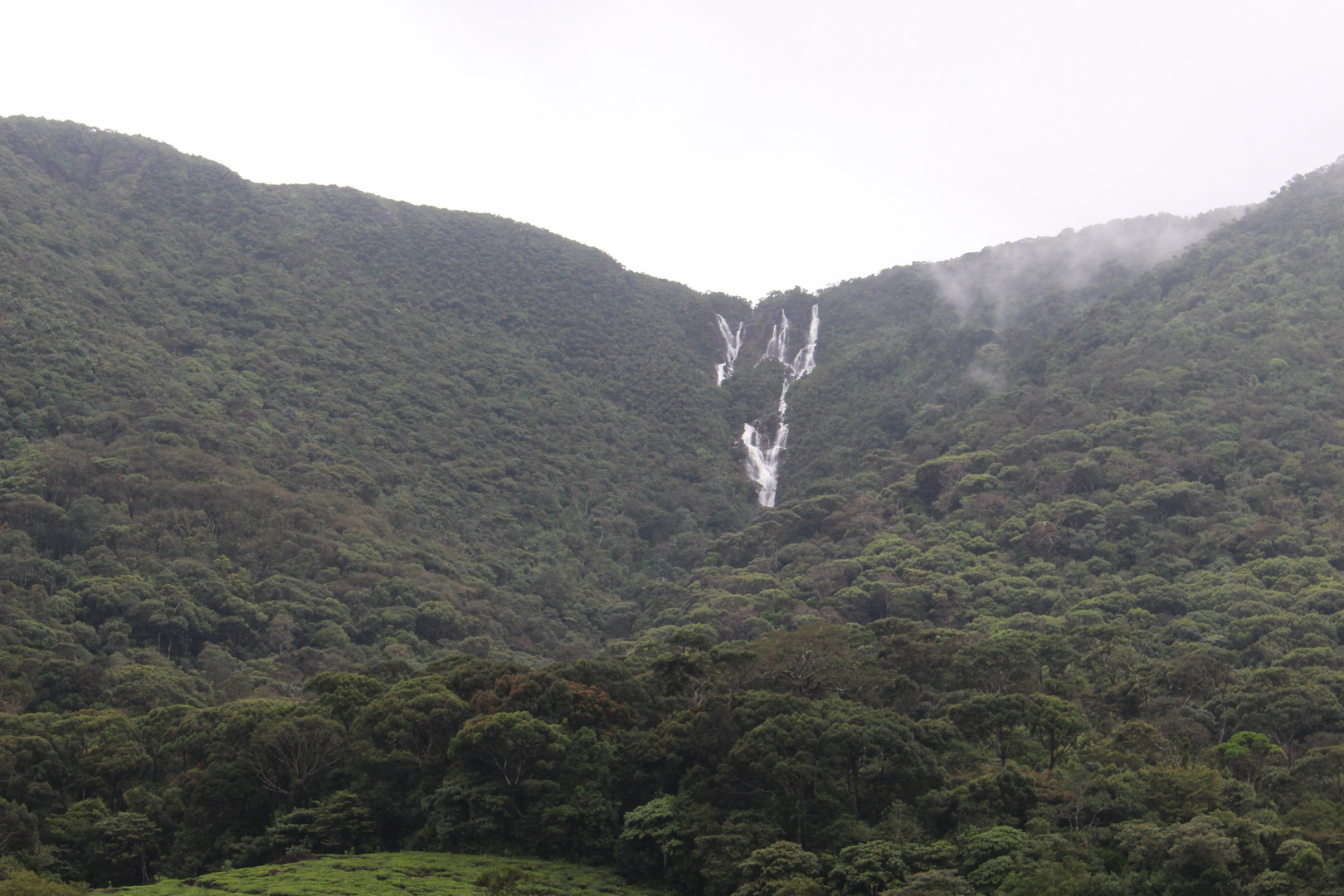 Mächtige Wasserfälle im Regenwald