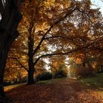 ...mächtiger Herbst...