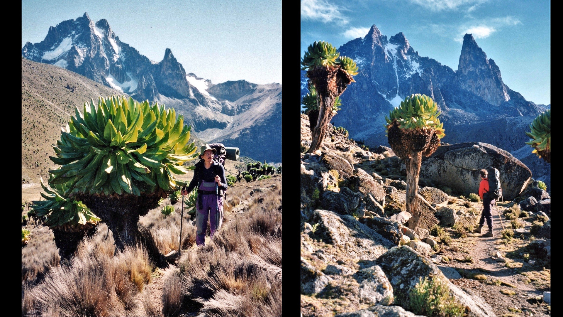 Mächtiger Mount Kenya