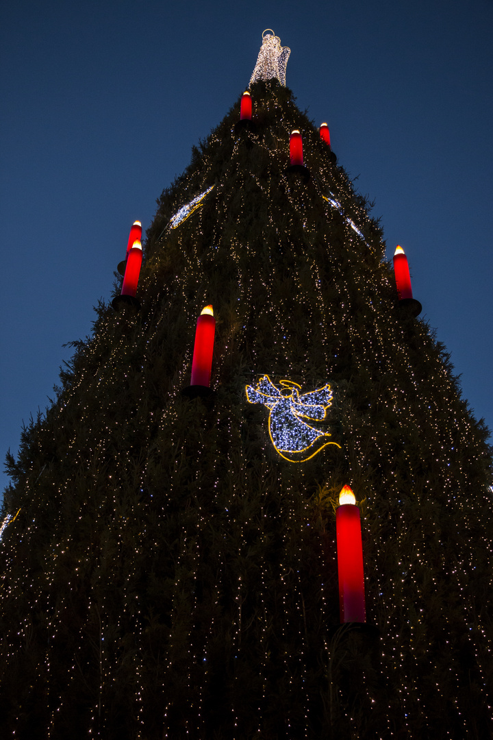 Mächtiger Weihnachtsbaum Dortmund