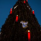 Mächtiger Weihnachtsbaum Dortmund