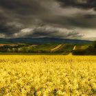 Mächtiges Gewitter im Anmarsch! 