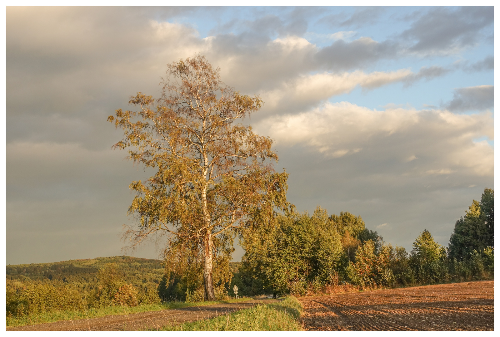 mächtiges Licht beim Sonnenuntergang