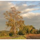 mächtiges Licht beim Sonnenuntergang