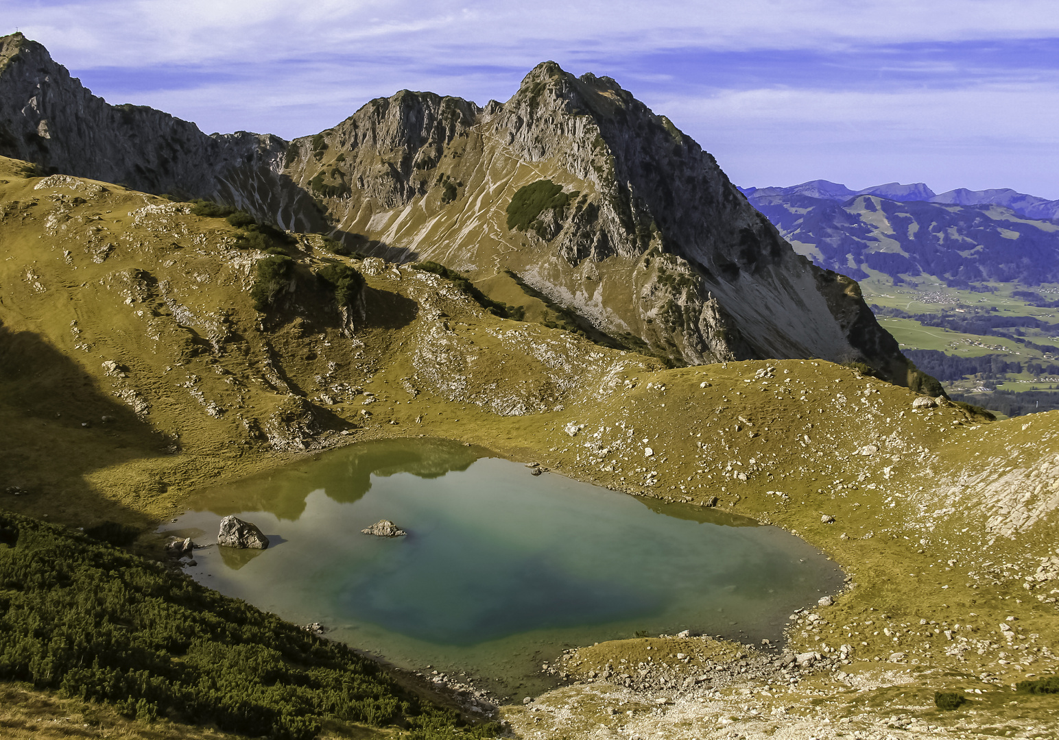 Mächtiges Rubihorn