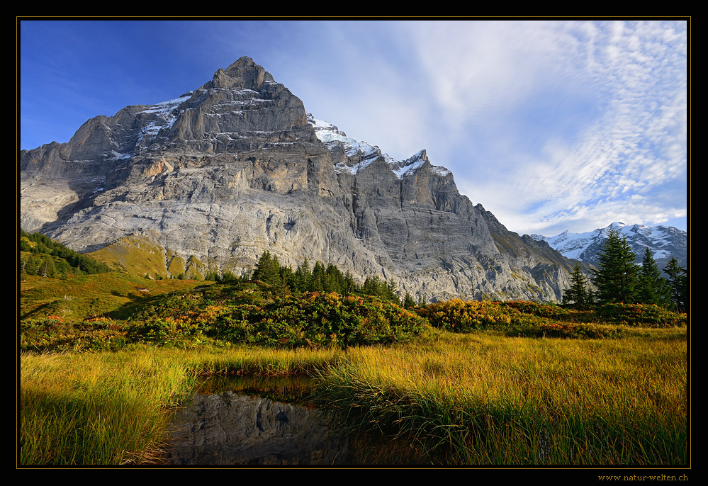 mächtiges Wetterhorn