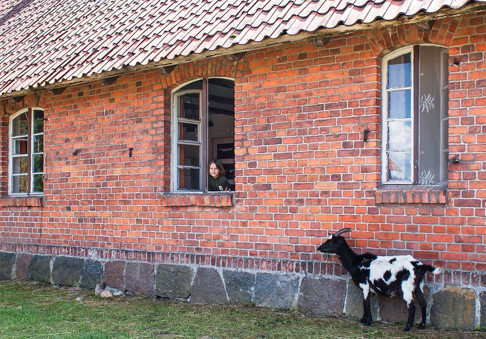 Mädchen am Fenster mit Ziege