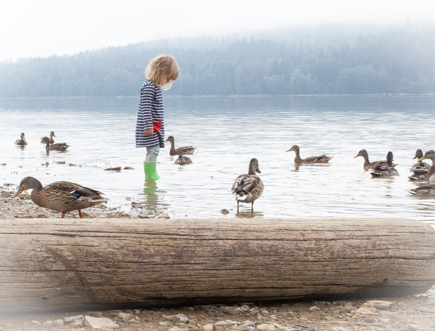 Mädchen am See mit Enten