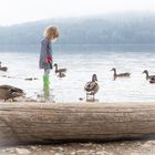 Mädchen am See mit Enten