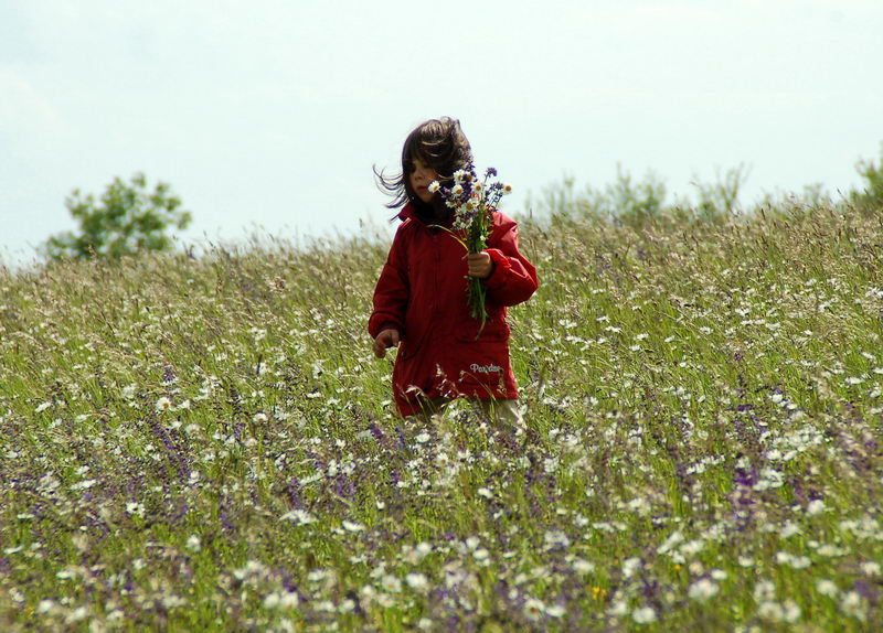 Mädchen auf der Blumenwiese