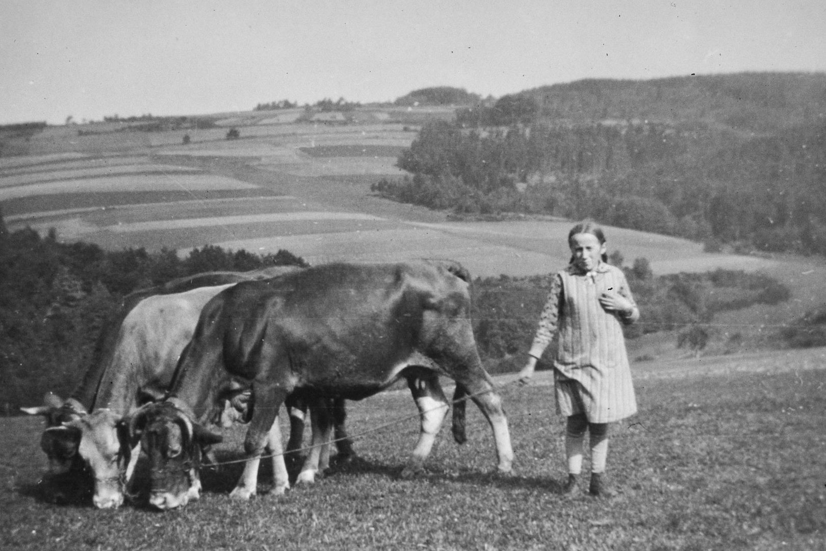 Mädchen beim Kühehüten