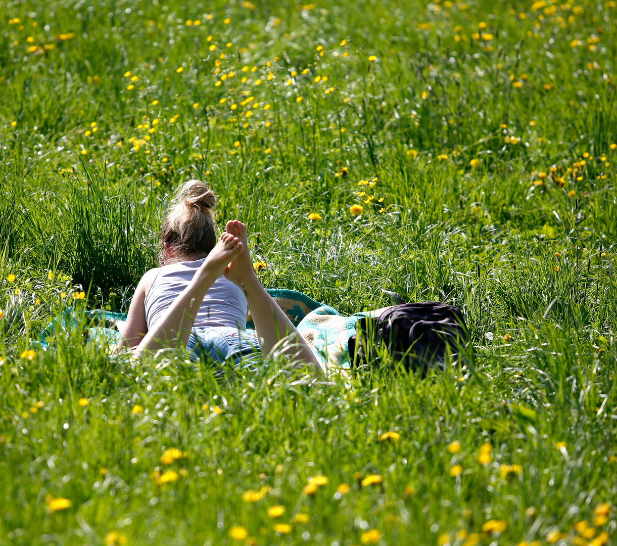 Mädchen im Gras Foto & Bild | erwachsene, menschen in der freizeit